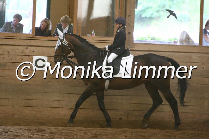 007L8537_Dress reiter WB.JPG